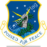 91st Space Wing Unit Flag