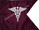 Medical Corps Guidon