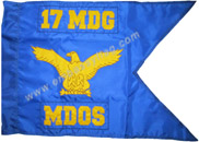 17th Medical Group guidon