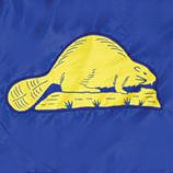 Oregeon flag beaver