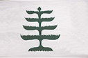Pine Tree historic flag