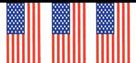 United States Pennant Strings
