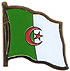 Algeria flag lapel pin