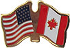 Friendship flag lapel pins