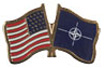 USA, NATO custom flag pin