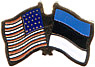 Estonia / USA friendship flag lapel pin