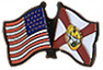 Florida friendship flag lapel pin