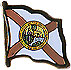 Florida flag lapel pin
