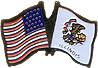 Illinois friendship flag lapel pin