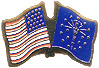 Indiana friendship flag lapel pin