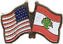 Lebanon / USA friendship flag lapel pin