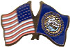 New Hampshire friendship flag lapel pin