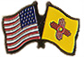 New Mexico friendship flag lapel pin
