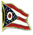 Ohio state flag lapel  pin