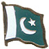 Pakistan flag lapel pin