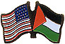 Palestine / USA friendship flag lapel pin