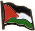 Palestine flag lapel pin