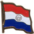 Paraguay flag lapel pin