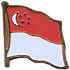 Singapore flag lapel pin