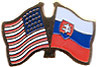 Slovak Republic / USA friendship flag lapel pin