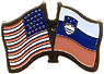 Slovenia / USA friendship flag lapel pin