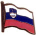 Slovenia flag lapel pins