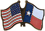 Texas / USA friendship flag lapel pin