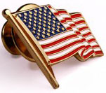 United States Gold Lapel Pin