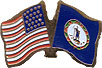 Virginia friendship flag lapel pin