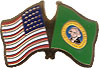 US state / USA crossed flag lapel pins