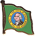 Washington flag lapel pin