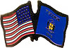 Wisconsin friendship flag lapel pin